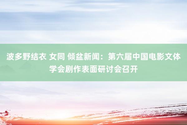 波多野结衣 女同 倾盆新闻：第六届中国电影文体学会剧作表面研讨会召开