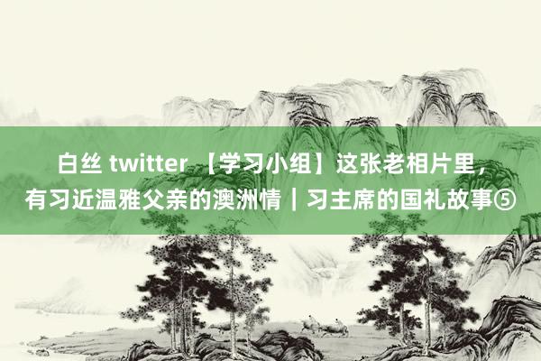 白丝 twitter 【学习小组】这张老相片里，有习近温雅父亲的澳洲情｜习主席的国礼故事⑤