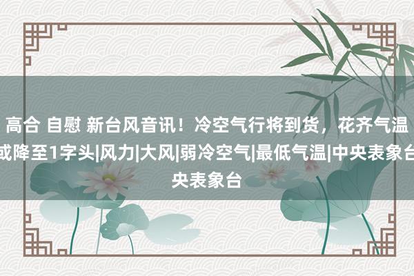 高合 自慰 新台风音讯！冷空气行将到货，花齐气温或降至1字头|风力|大风|弱冷空气|最低气温|中央表象台