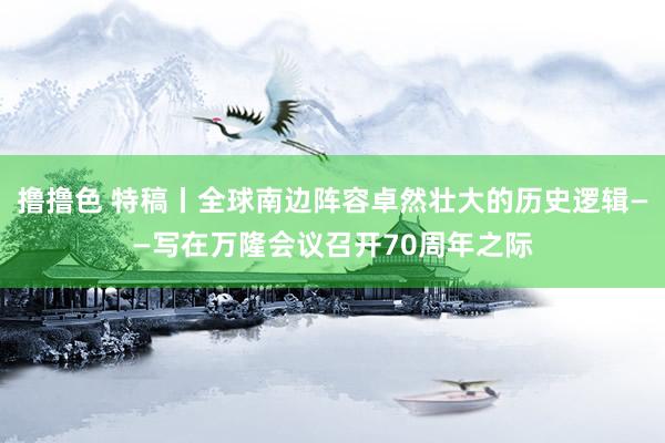 撸撸色 特稿丨全球南边阵容卓然壮大的历史逻辑——写在万隆会议召开70周年之际