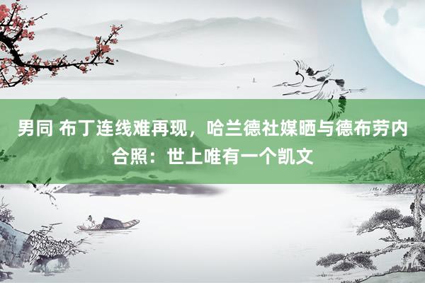 男同 布丁连线难再现，哈兰德社媒晒与德布劳内合照：世上唯有一个凯文